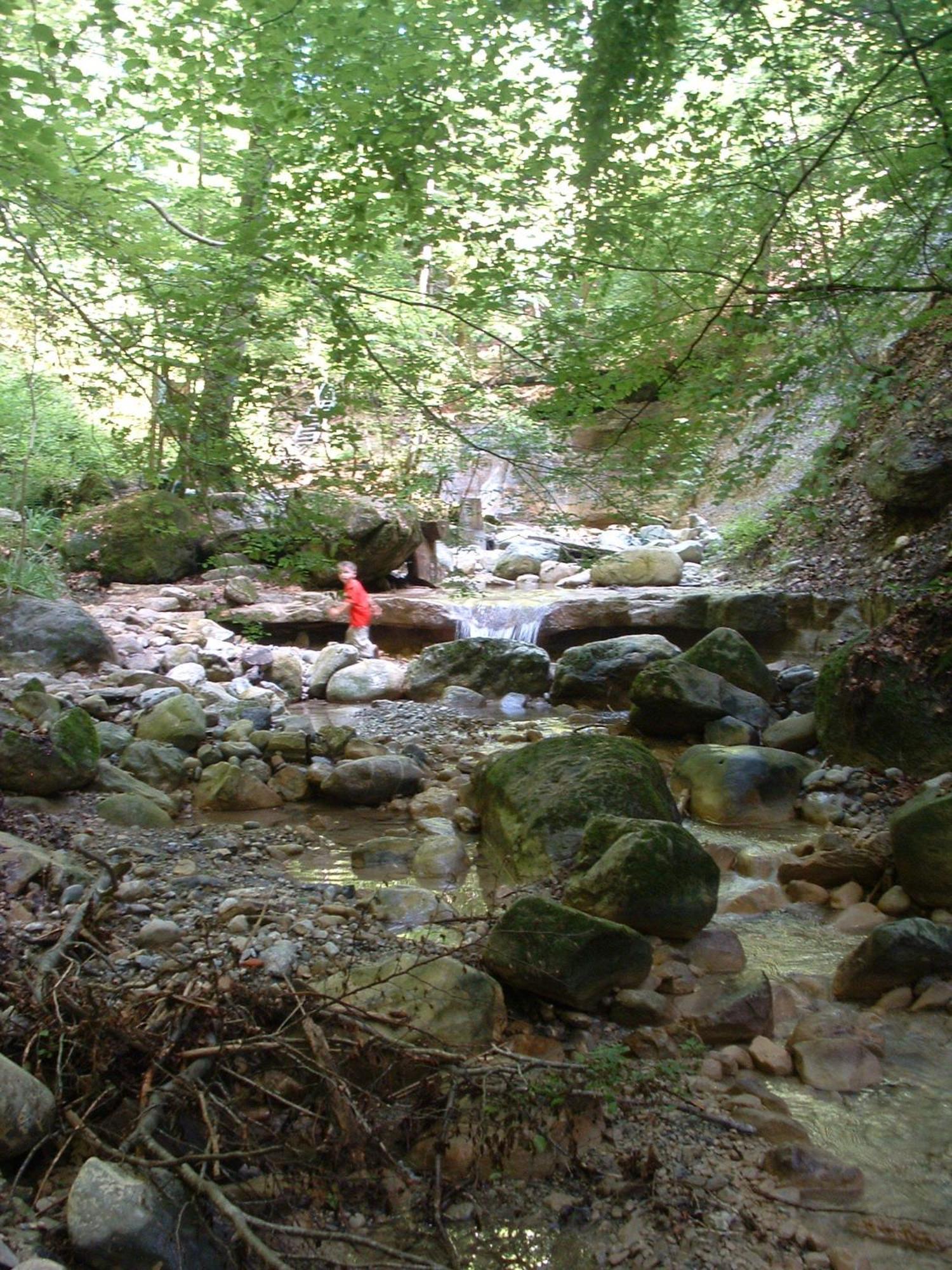 Gelfingen Bed And Breakfast Oase Im Seetal المظهر الخارجي الصورة