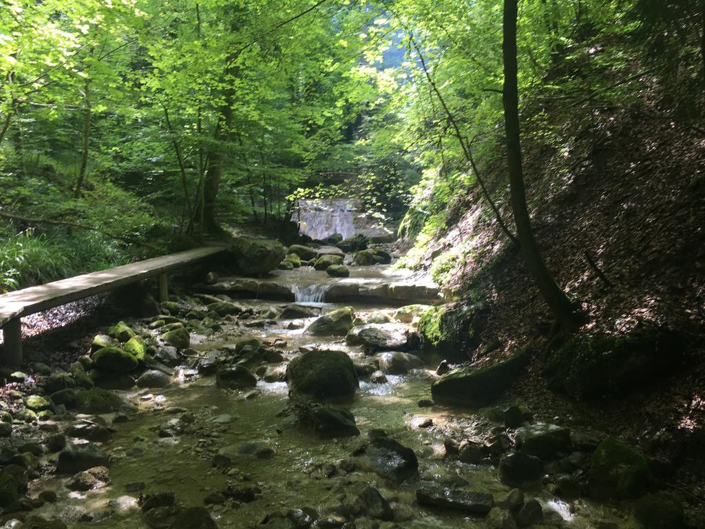 Gelfingen Bed And Breakfast Oase Im Seetal المظهر الخارجي الصورة
