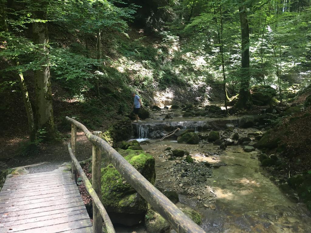 Gelfingen Bed And Breakfast Oase Im Seetal المظهر الخارجي الصورة