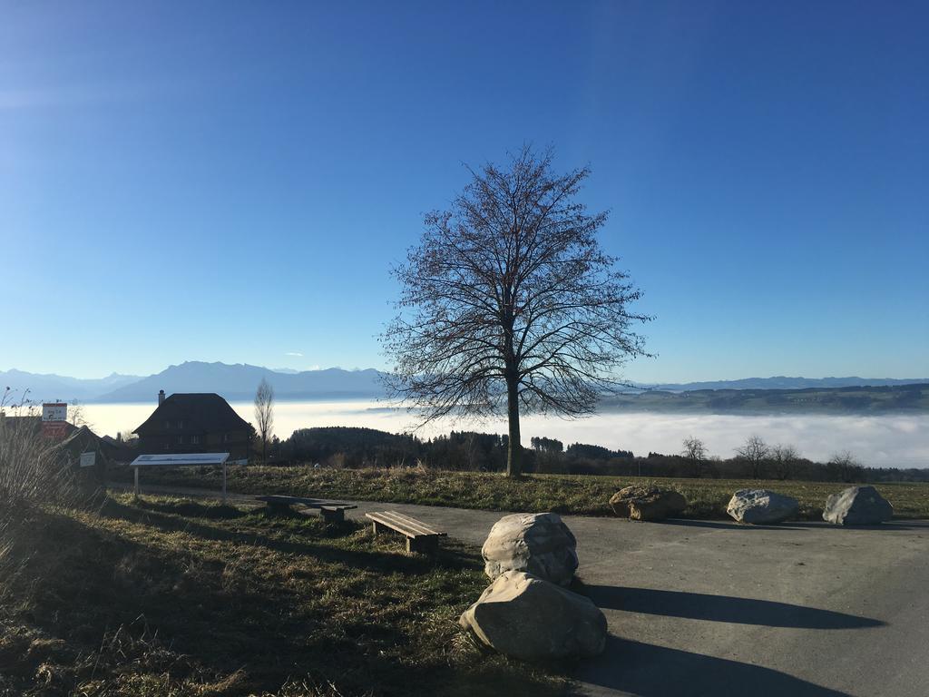 Gelfingen Bed And Breakfast Oase Im Seetal المظهر الخارجي الصورة