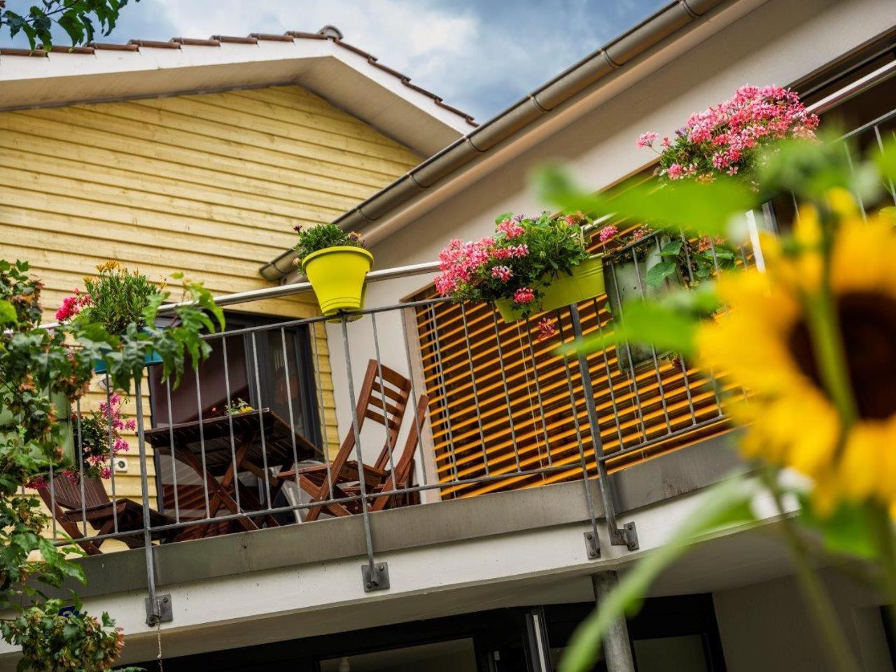 Gelfingen Bed And Breakfast Oase Im Seetal المظهر الخارجي الصورة